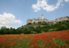 Terra di San Francesco che parlava agli animali