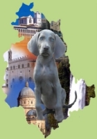 Da questa terra è partita la nostra passione per il weimaraner